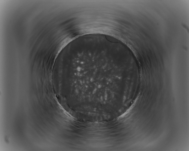 X0000097821529200803281110