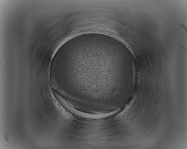 X0000097821530200803281110