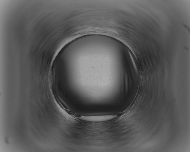 X0000097821531200803281110