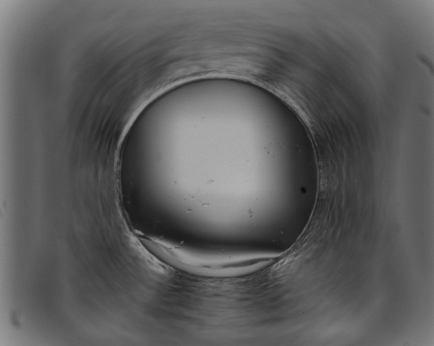 X0000097821532200803281110