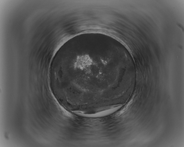 X0000097821533200803281110