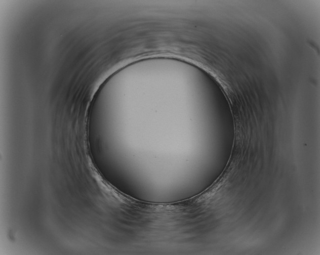 X0000097821534200803281110