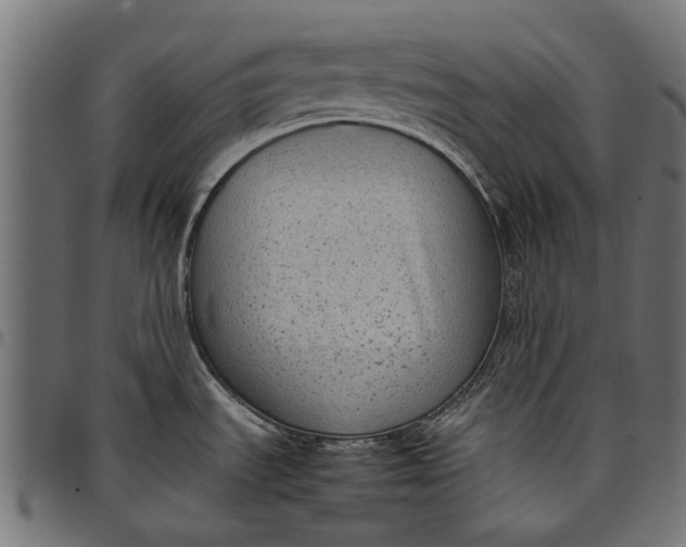 X0000097821535200803281110