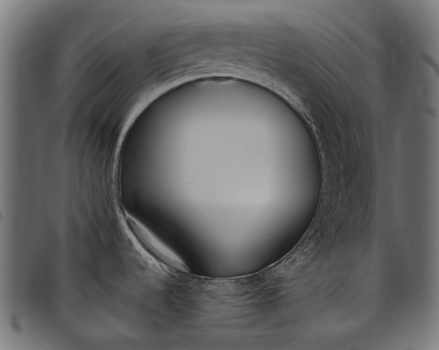 X0000097821536200803281110