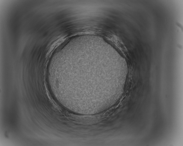 X0000097820001200804041409