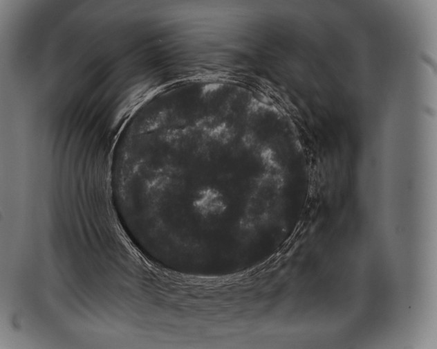 X0000097820002200804041409