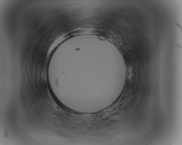 X0000097820004200804041409