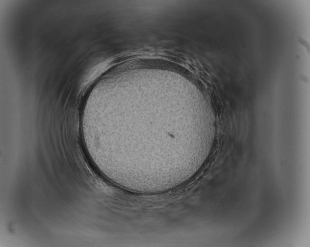 X0000097820005200804041409