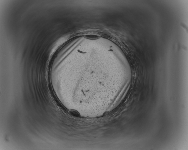 X0000097820006200804041409