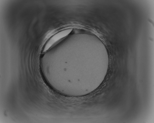 X0000097820007200804041409