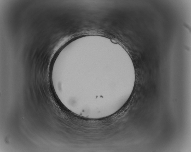 X0000097820008200804041409