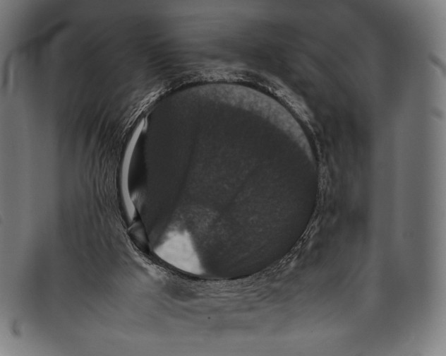 X0000097820009200804041409