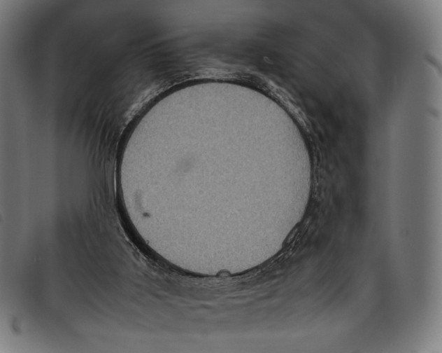 X0000097820011200804041409