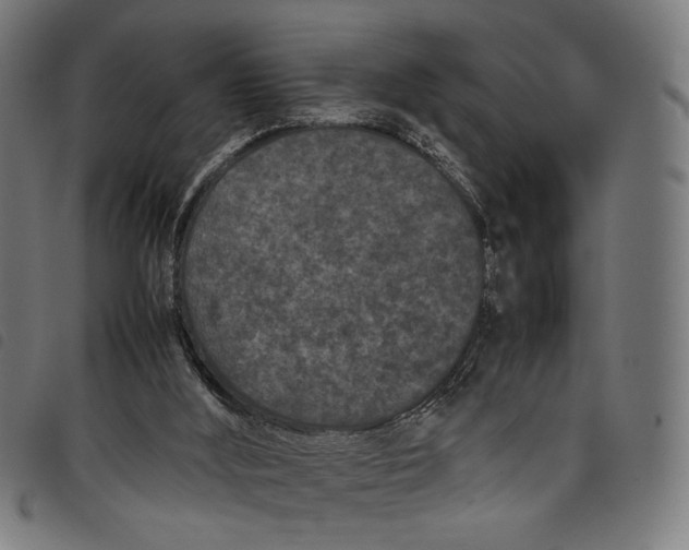 X0000097820012200804041409