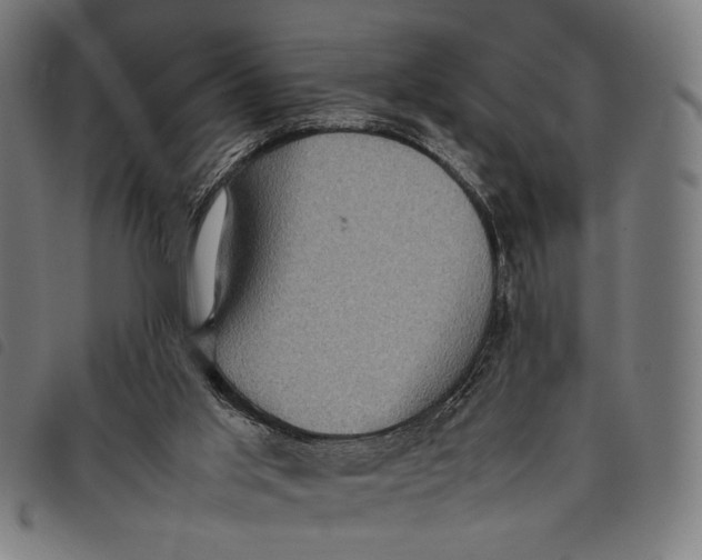 X0000097820013200804041409