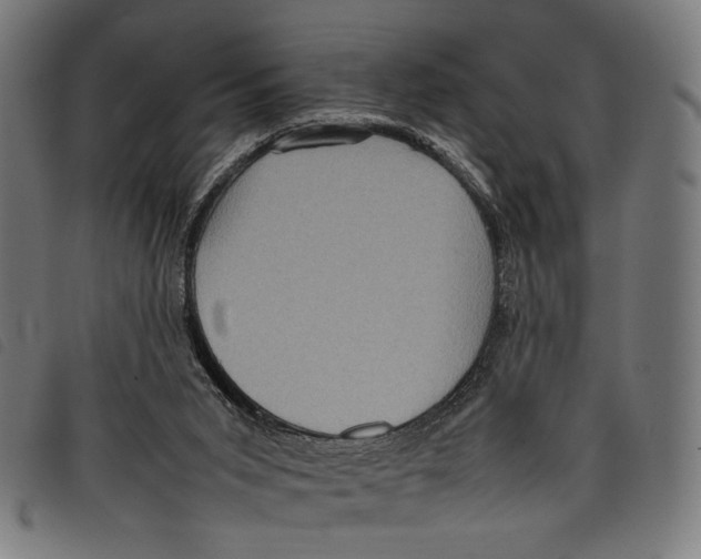 X0000097820015200804041409