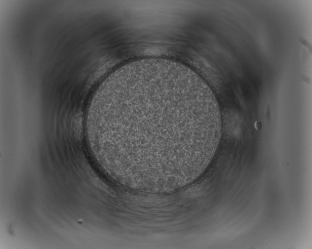 X0000097820016200804041409