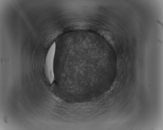 X0000097820017200804041409