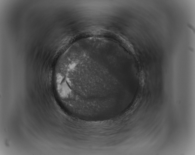 X0000097820018200804041409