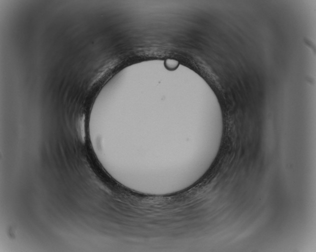 X0000097820020200804041409