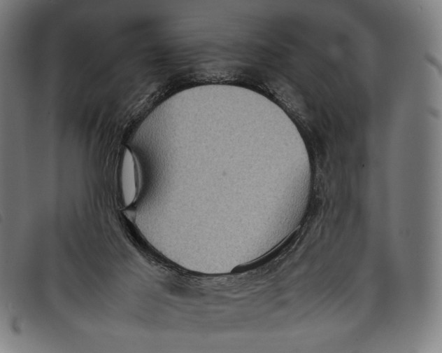 X0000097820021200804041409