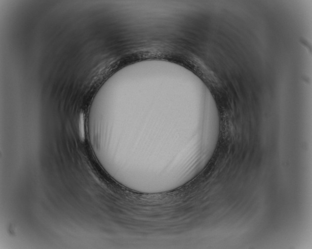 X0000097820022200804041409