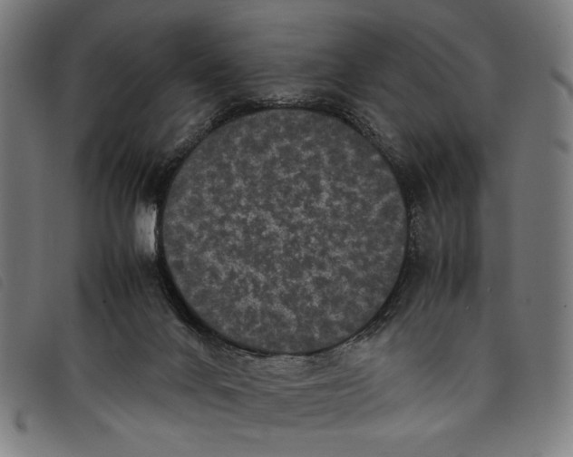 X0000097820024200804041409