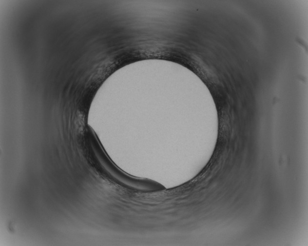 X0000097820025200804041409