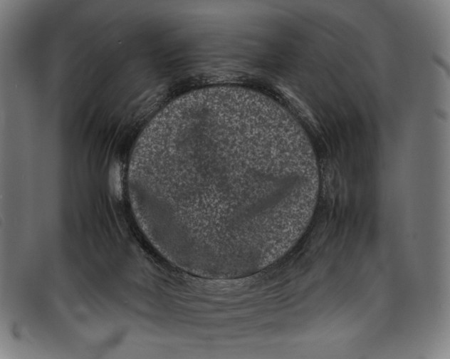 X0000097820026200804041409