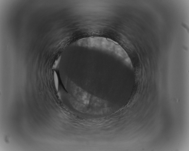 X0000097820029200804041409