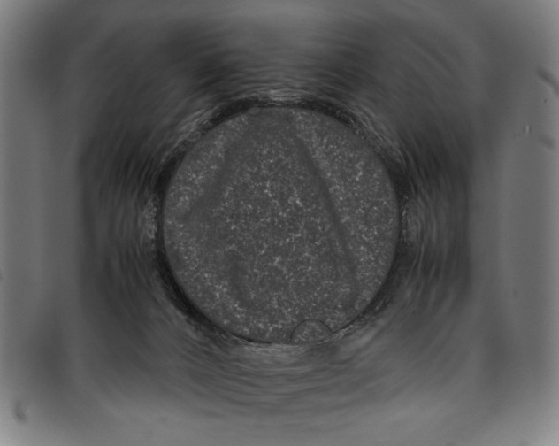 X0000097820032200804041409