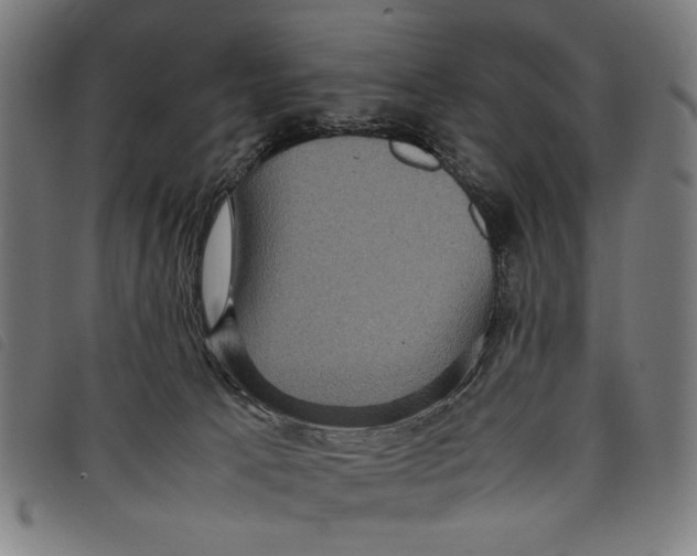 X0000097820033200804041409