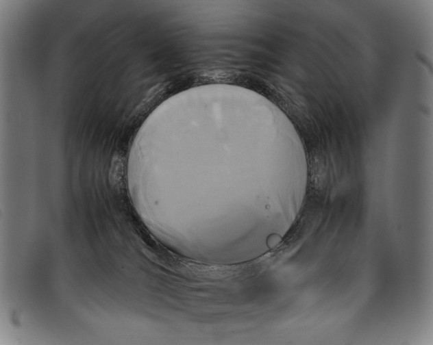 X0000097820036200804041409