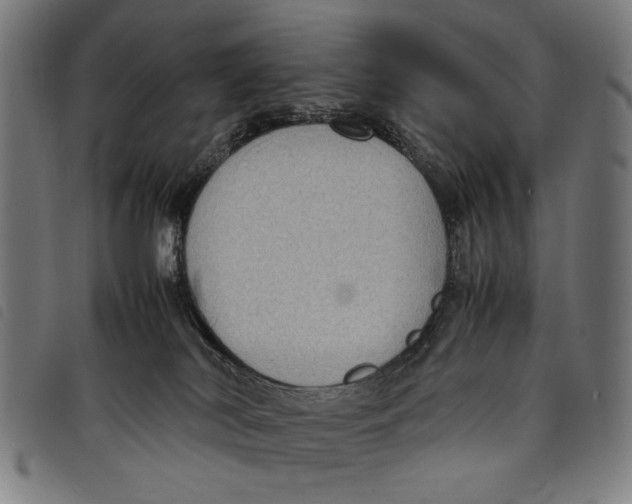 X0000097820038200804041409