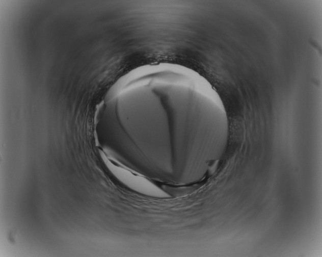 X0000097820039200804041409