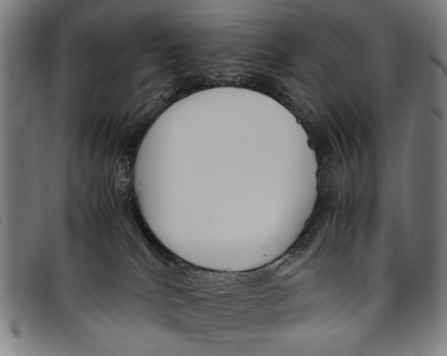 X0000097820040200804041409