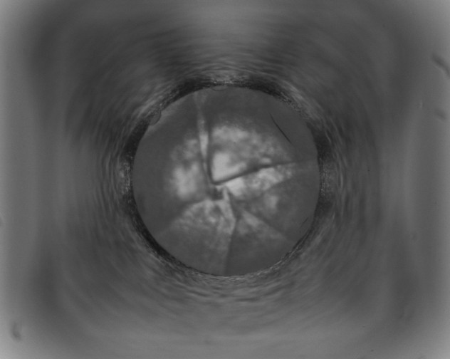 X0000097820043200804041409