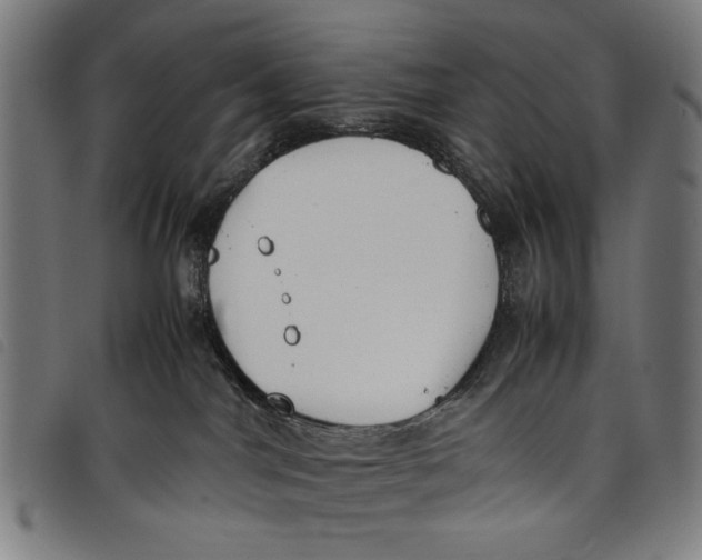 X0000097820044200804041409