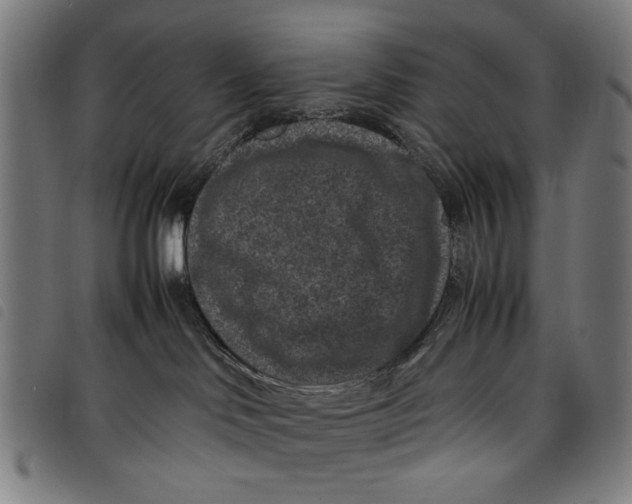 X0000097820046200804041409