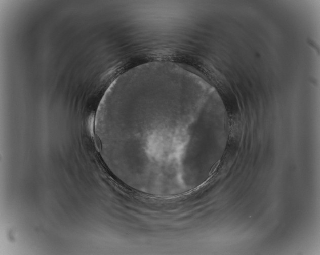 X0000097820047200804041409