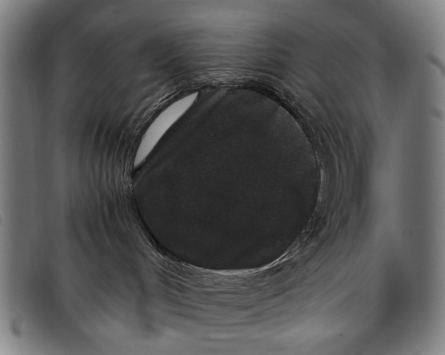 X0000097820048200804041409