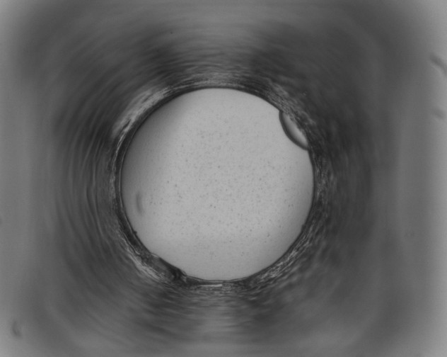 X0000097820050200804041408