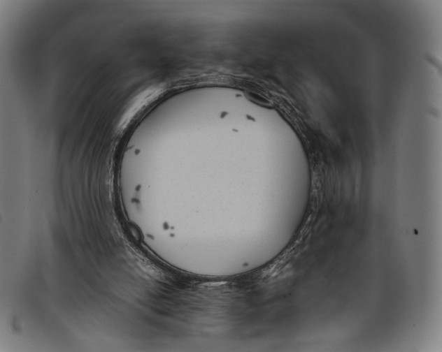 X0000097820054200804041408