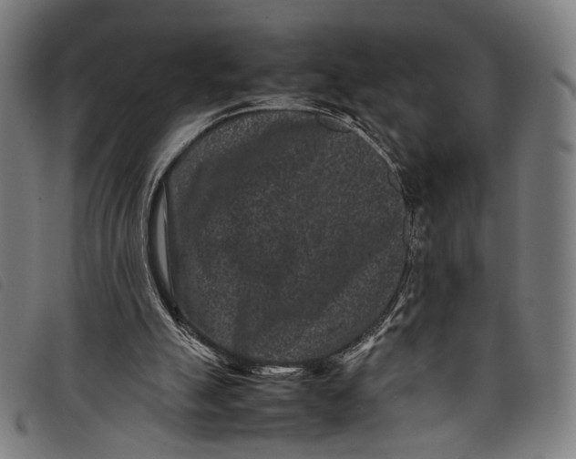 X0000097820055200804041408