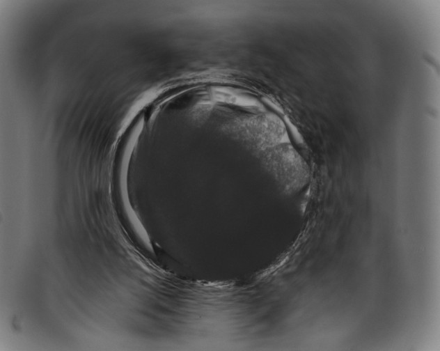 X0000097820056200804041408