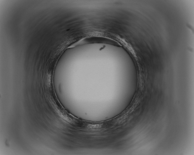 X0000097820057200804041408