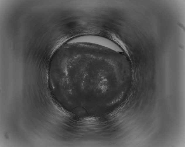 X0000097820059200804041408