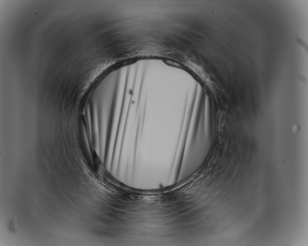 X0000097820060200804041408