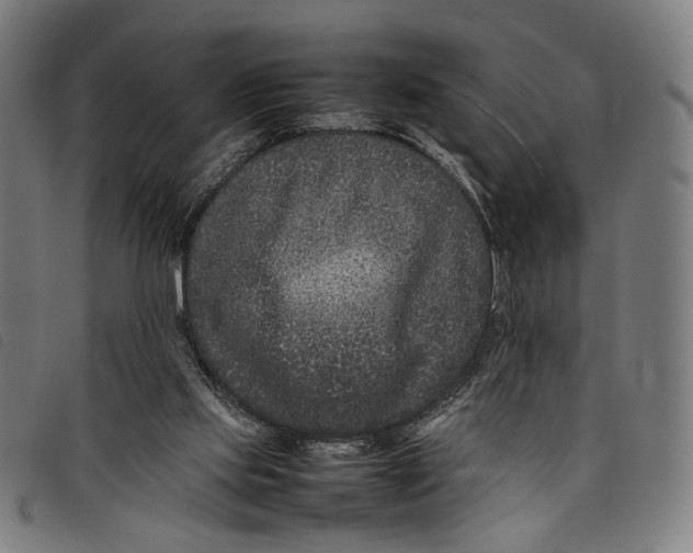 X0000097820061200804041408