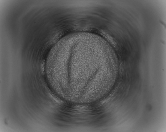 X0000097820065200804041408